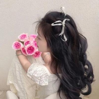 金毛喜迎冬